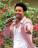 Shaggy