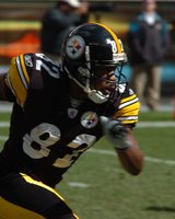 Antwaan Randle El