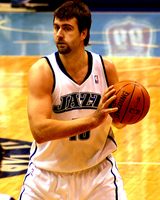 Mehmet Okur