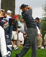 Stewart Cink