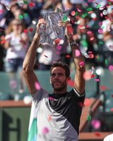 Juan Martin del Potro